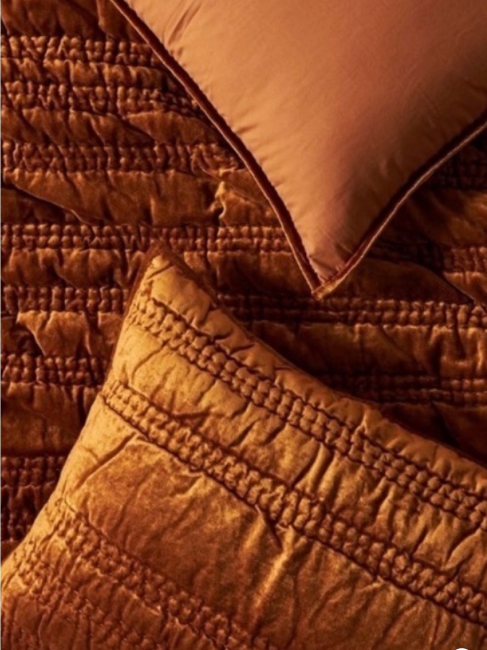 Anthropologie velvet Alastair 2 Euro Shams 26x26